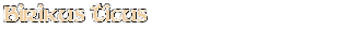 Contentbox headline