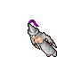 Arcane Female Addon 1