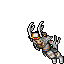 Hunter Female