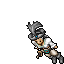 Pirate Female